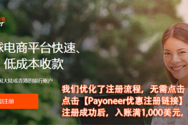 美版PayPal通过派安盈(Payoneer)提现到国内（教程及费用）！