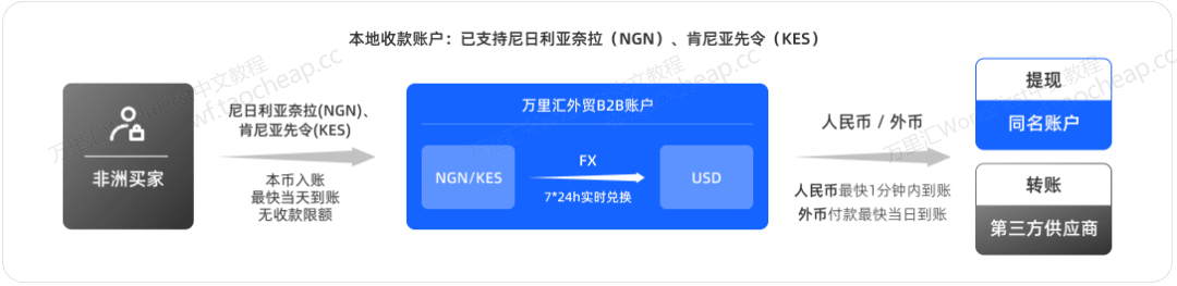 收款慢、手续费高、客户不想换汇？一招搞定非洲+东南亚回款难题！ 外贸收款 第3张